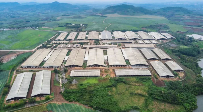 Cung Cấp Vật Tư Phụ M&E Trang Trại Bò Sữa Phú Yên – Zencomex